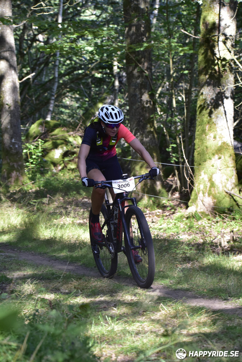 Bild från Bockstensturen 2019